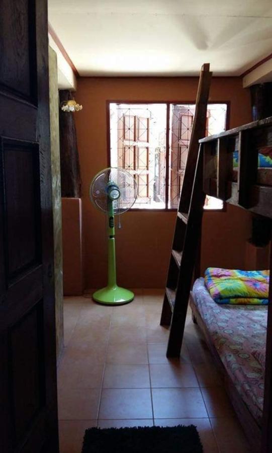 Hostel Cactus *