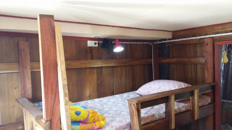 Hostel Cactus *