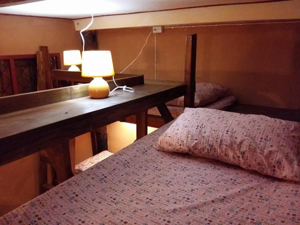 Cactus Hostel *