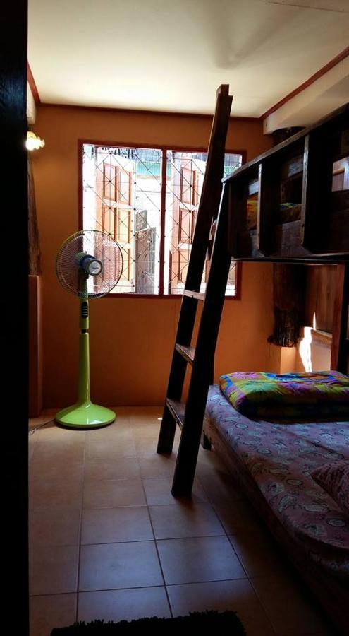Cactus Albergue *