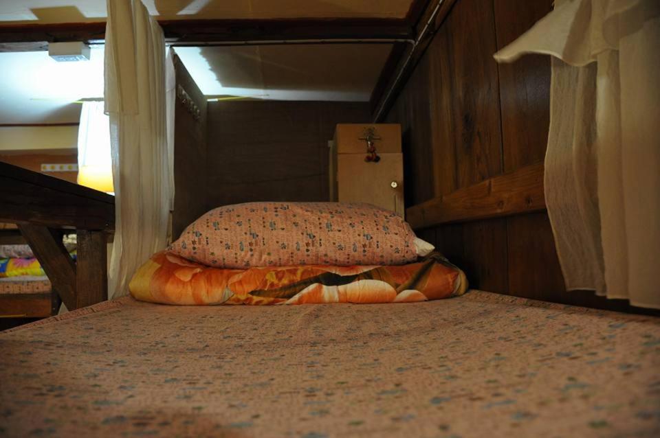 Albergue Cactus *